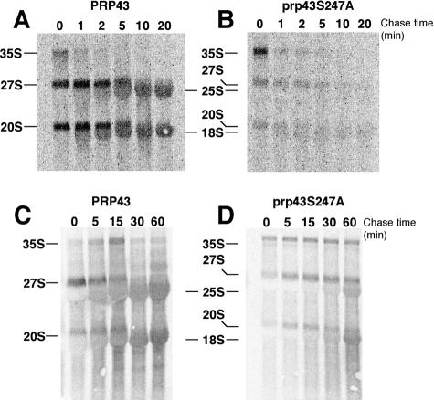 FIG. 5.