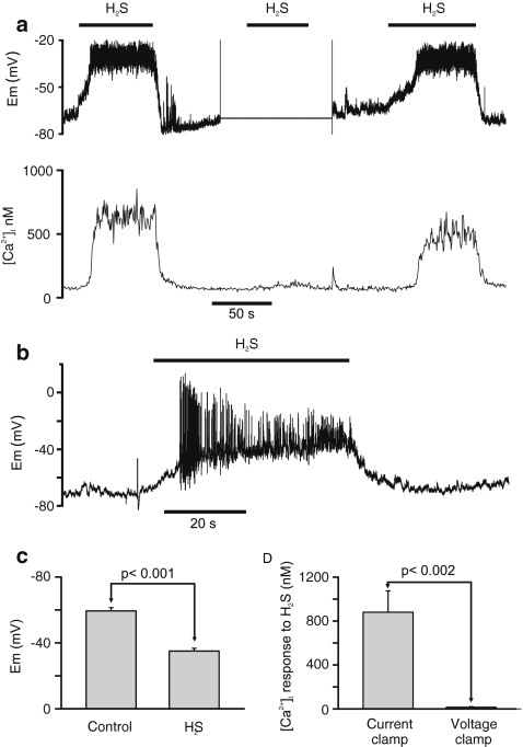 Fig. 3