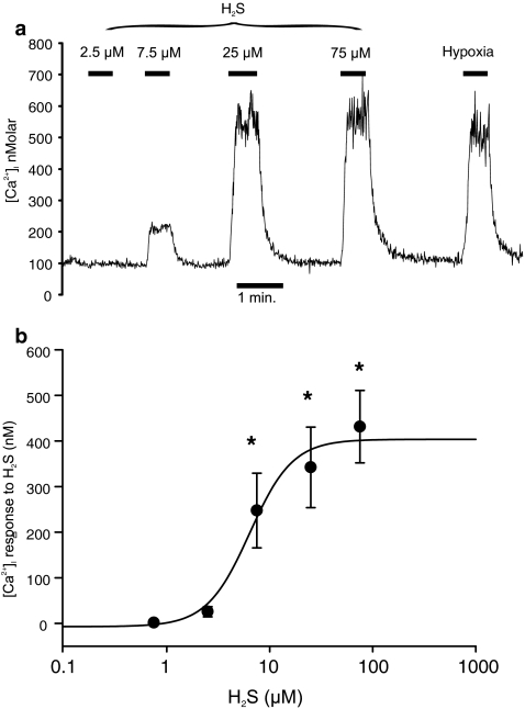 Fig. 1