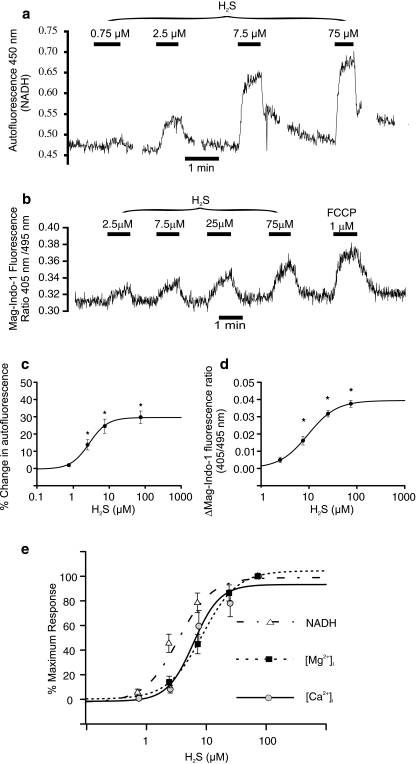 Fig. 6