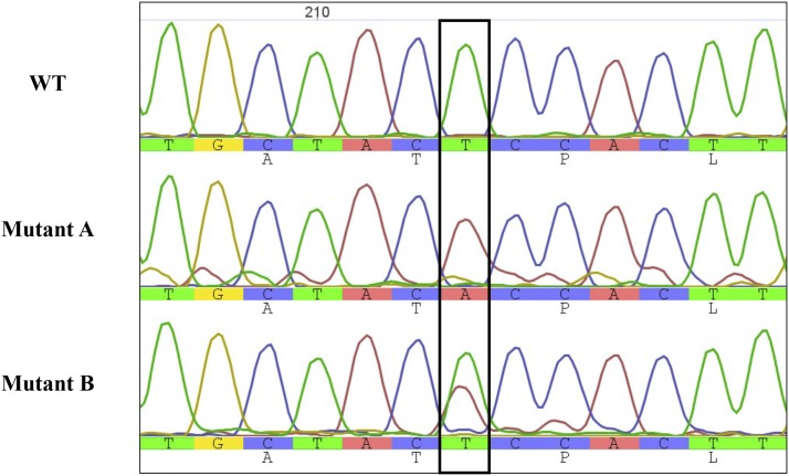 Figure 2.