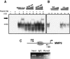 FIG. 3.