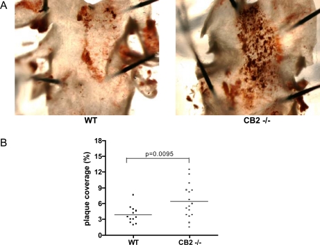 Fig. (2)