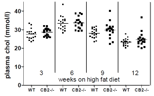 Fig. (1)