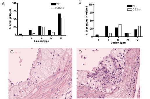 Fig. (4)