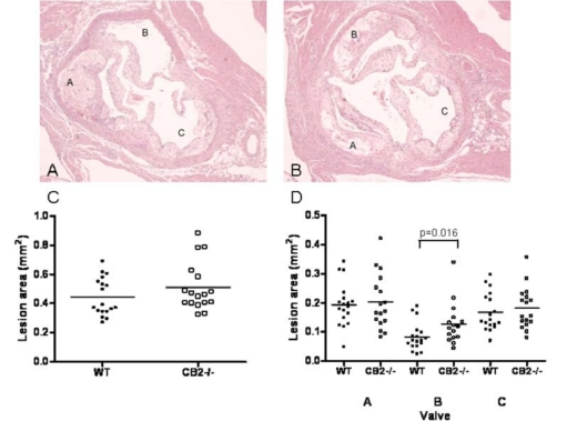 Fig. (3)