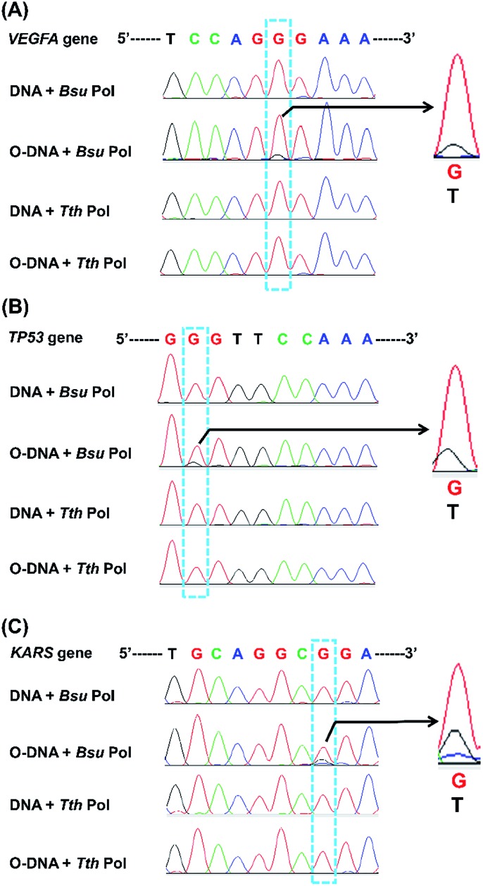 Fig. 9