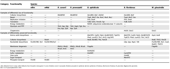 graphic file with name pbio.0030121.t003.jpg