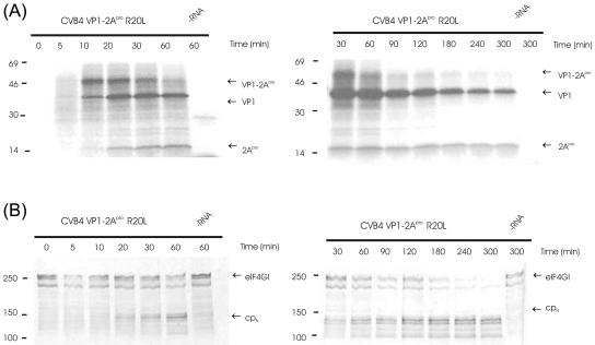 FIG. 9.