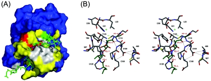 FIG. 7.