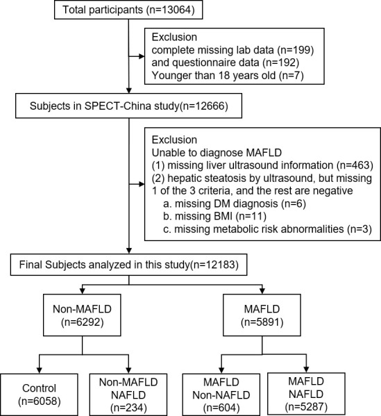 Figure 1