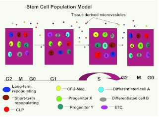 Fig. 11