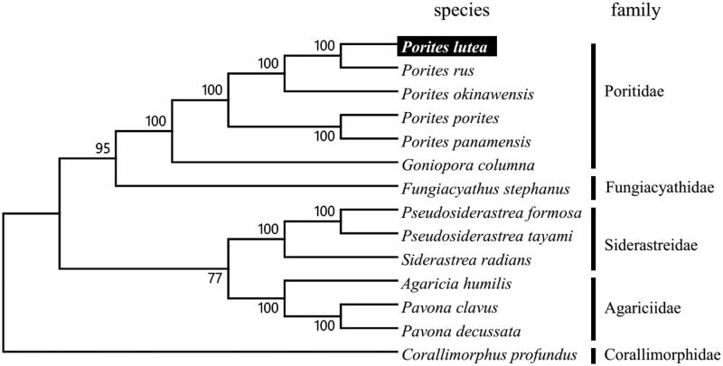 Figure 1.