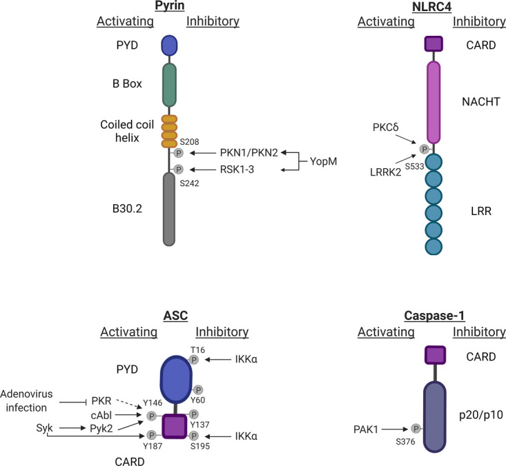 Figure 2.