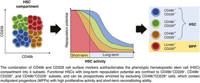 Graphical Abstract