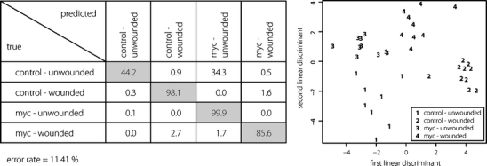 Fig. 6