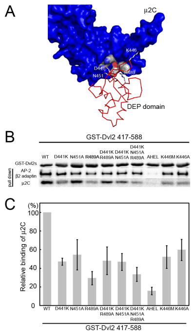 Figure 6