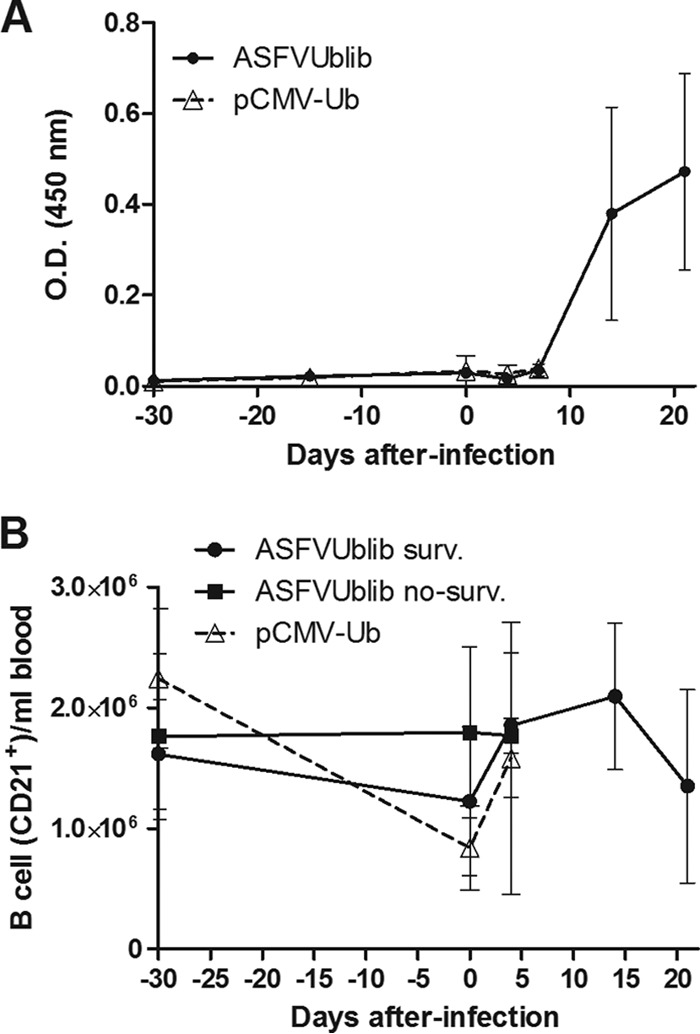 FIG 6