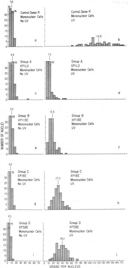 graphic file with name pnas00044-0067-b.jpg