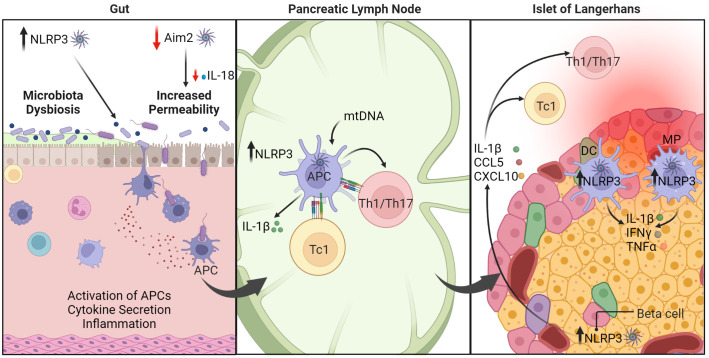 Figure 4