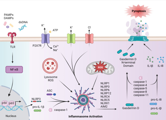 Figure 1