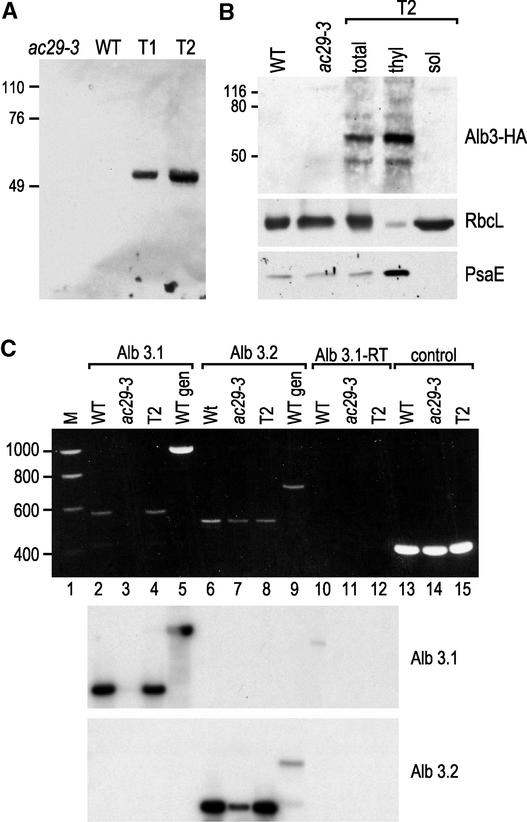 Figure 6.