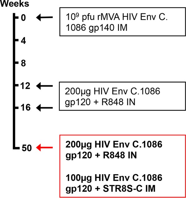 FIG 1