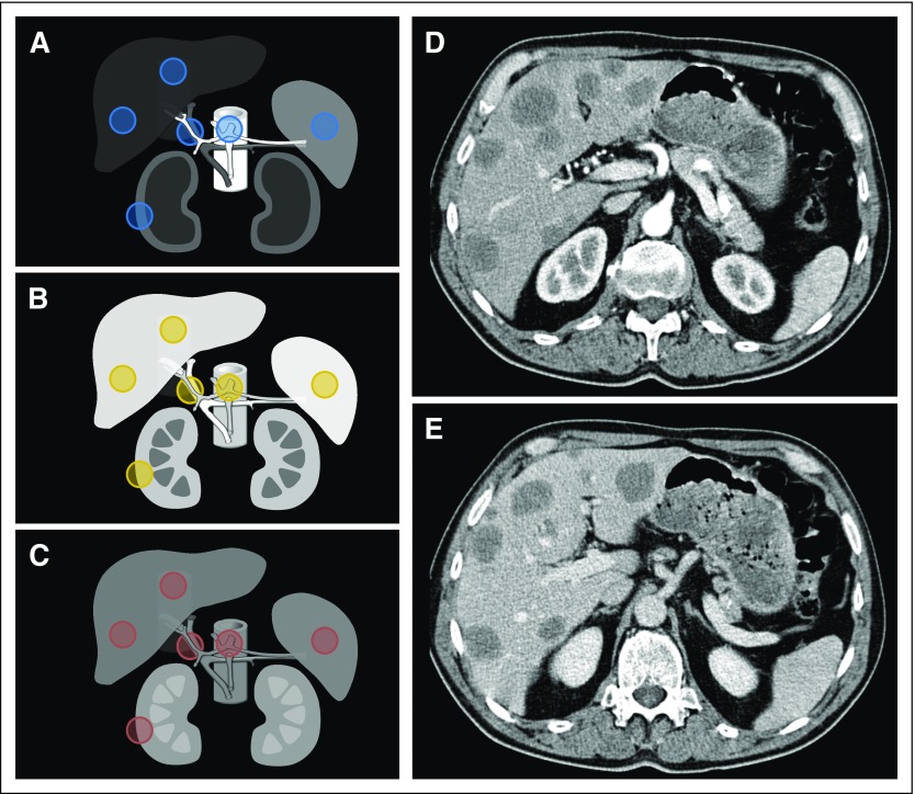 Fig 2.