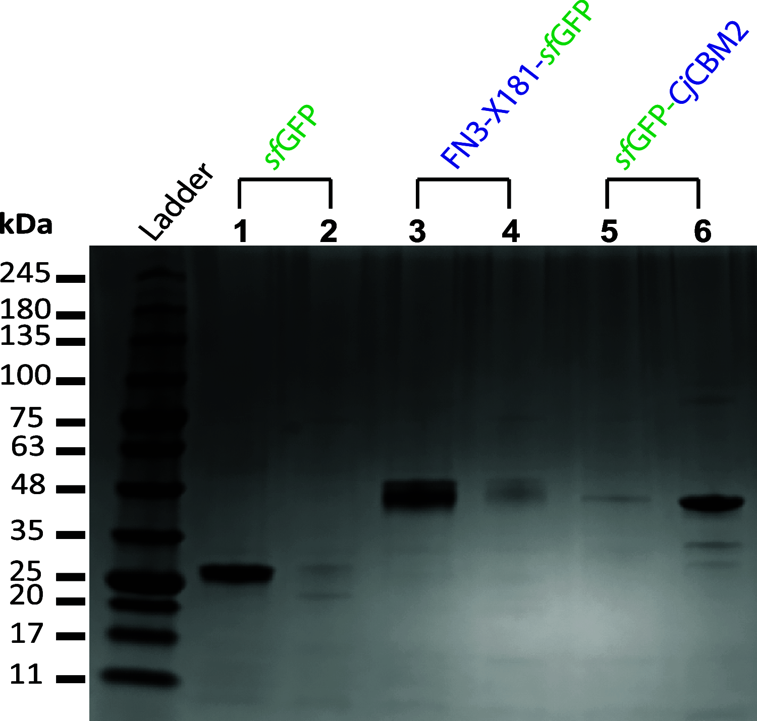 FIG 2