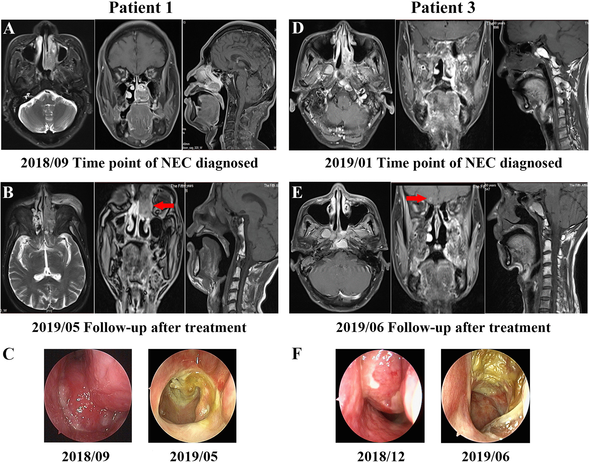 Fig. 3