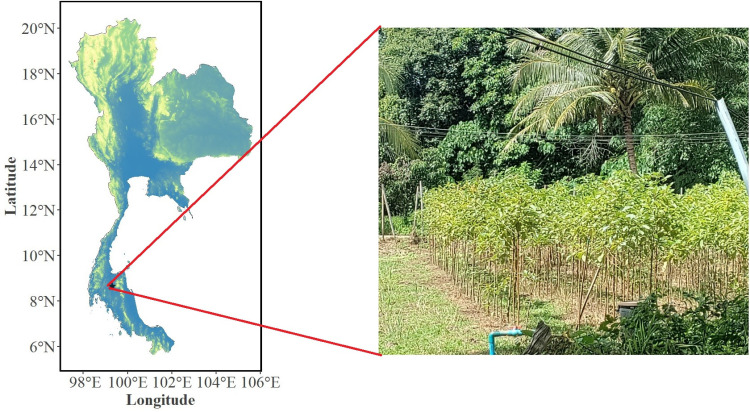 Fig 1