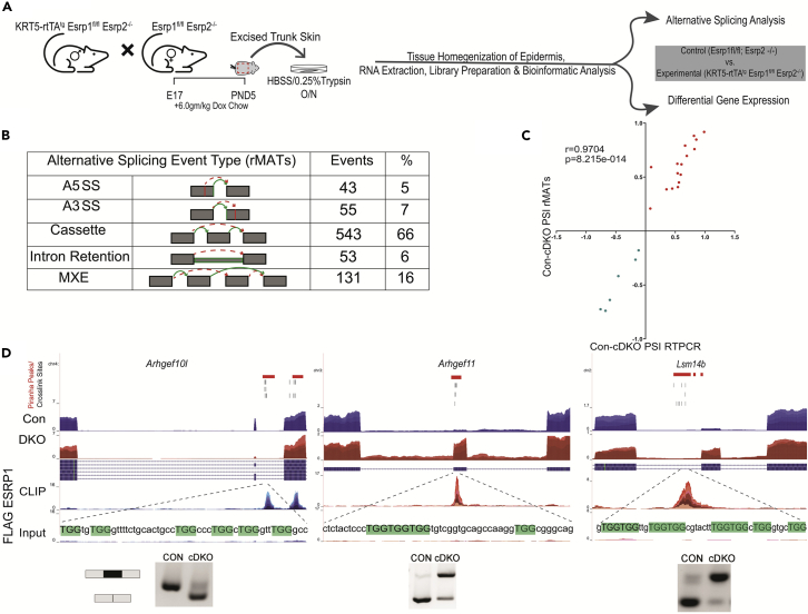 Figure 2