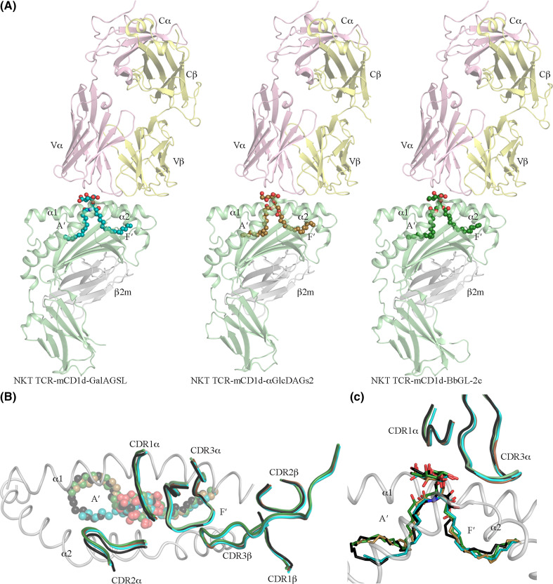 Fig. 4