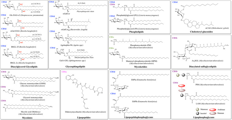 Fig. 2