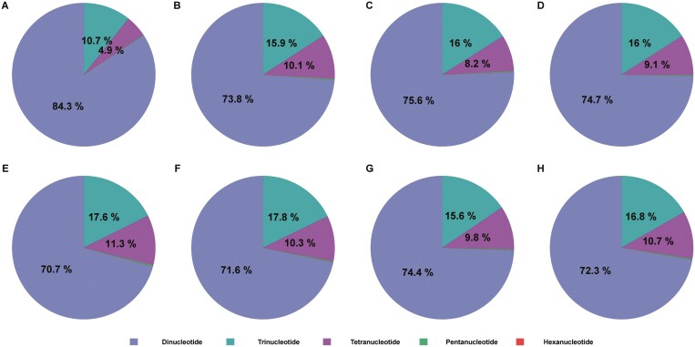 Comparative pie charts showing the percentage distribution of dinucleotide, trinucleotide, tetranucleotide, pentanucleotide, and hexanucleotide repeat motifs for eight Lamprotula freshwater bivalve species (a-h).
