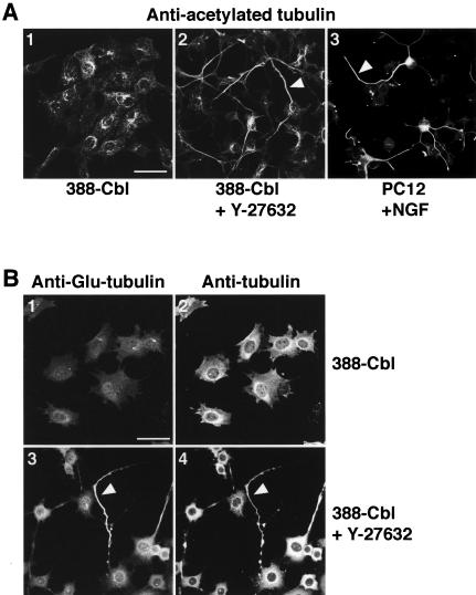 Figure 9.