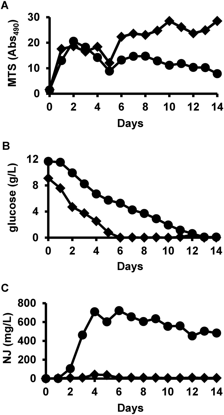 Fig. 3. Time course profiles of cell amounts and glucose and nojirimycin (NJ) concentrations in Streptomyces ficellus cultures. Of the two types of NJ production media tested, one was supplemented by Pharmamedia™ (symbol: diamond), and the other was supplemented by marine broth without soluble starch (symbol: circle). The time courses of cell amounts (A), glucose concentration (B), and NJ concentration (C) are shown. Cell amounts were determined by a 3-(4,5-dimethylthiazol-2-yl)-5-(3-carboxymethoxyphenyl)-2-(4-sulfophenyl)-2H-tetrazolium (MTS) assay. F-kit and gas chromatography/flame ionization detection were used to measure glucose and NJ concentrations, respectively.