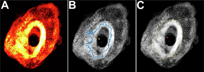 Fig. 3