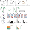 Extended Data Fig. 1