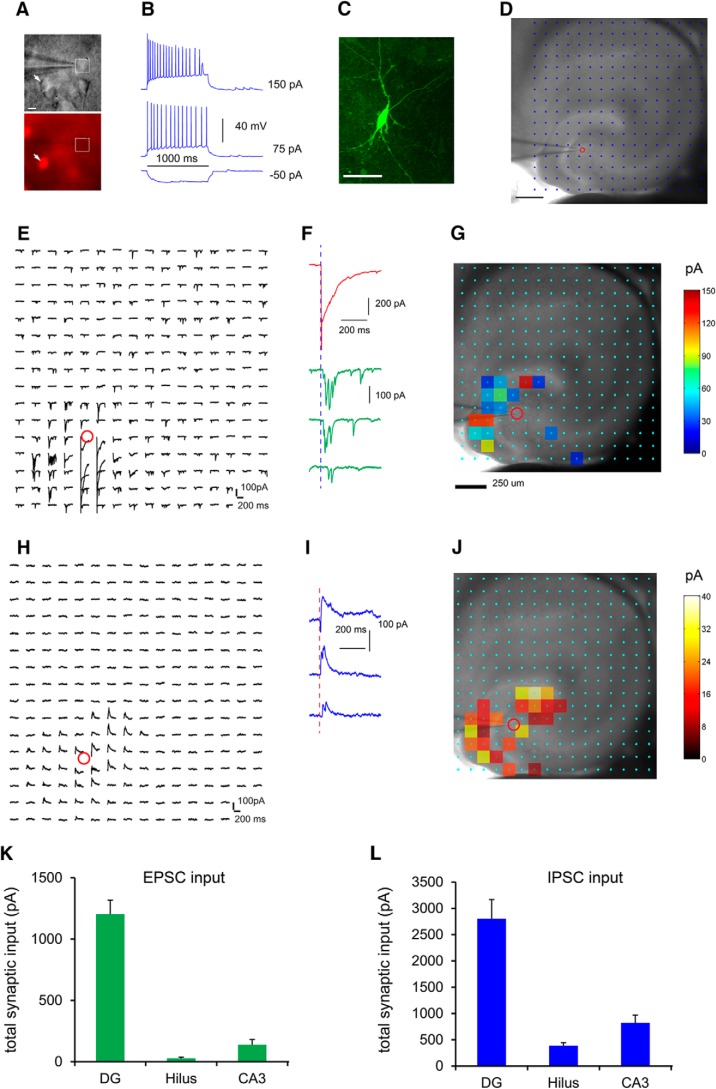 Figure 10.