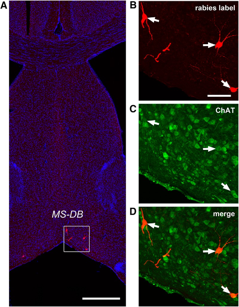 Figure 4.