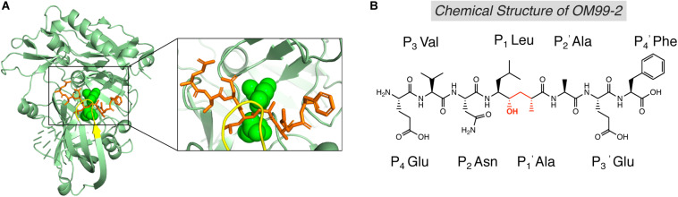 FIGURE 3