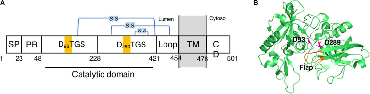 FIGURE 2