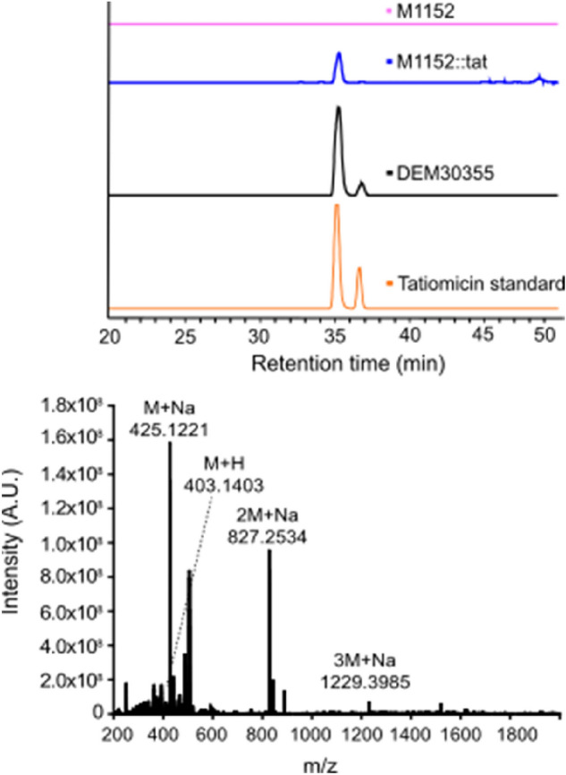 Figure 5