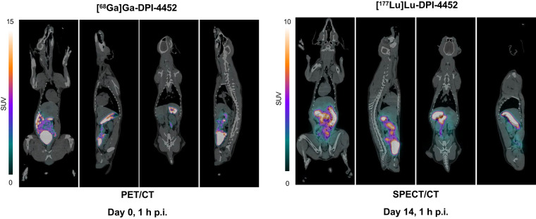 FIGURE 4.