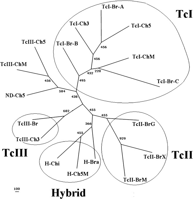 Fig. 4.