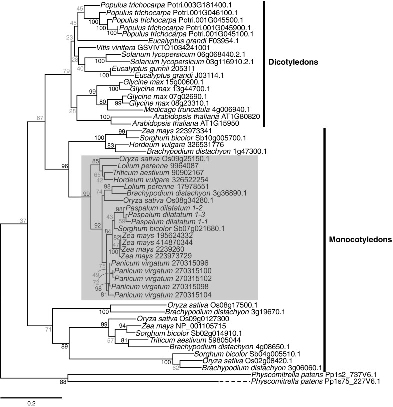 Fig. 2