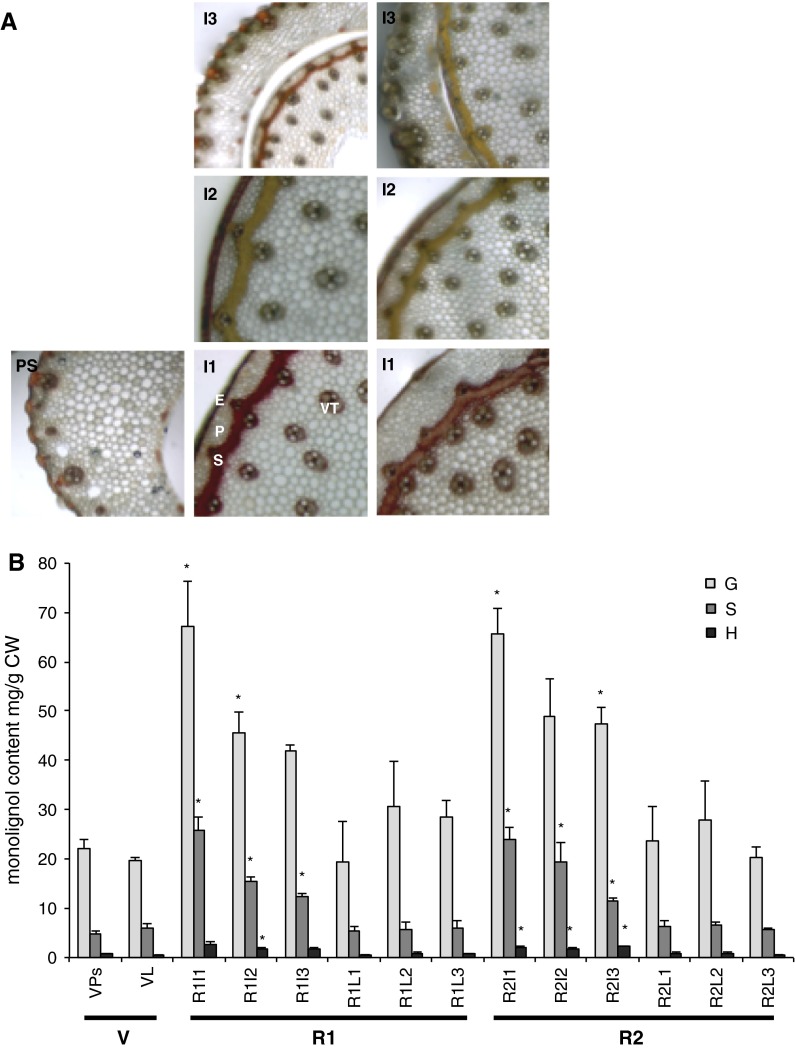 Fig. 4