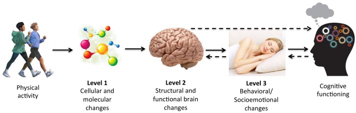 FIGURE 1