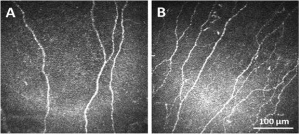 Figure 2: